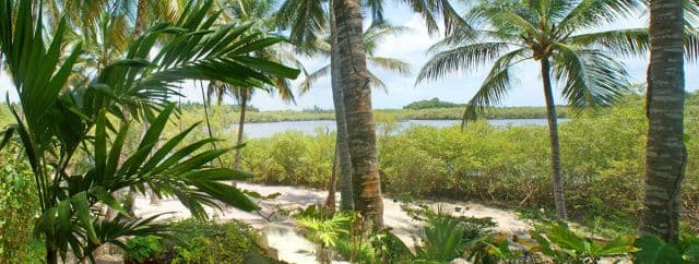 Pilipan Restaurant open-air deck and creek view, Watamu