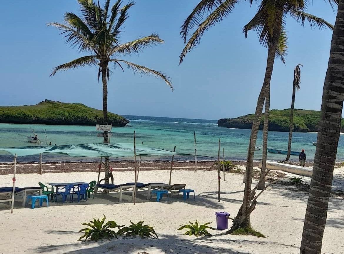 Seaweed on the Kenya Coast: An Honest Month by Month Guide (2026)