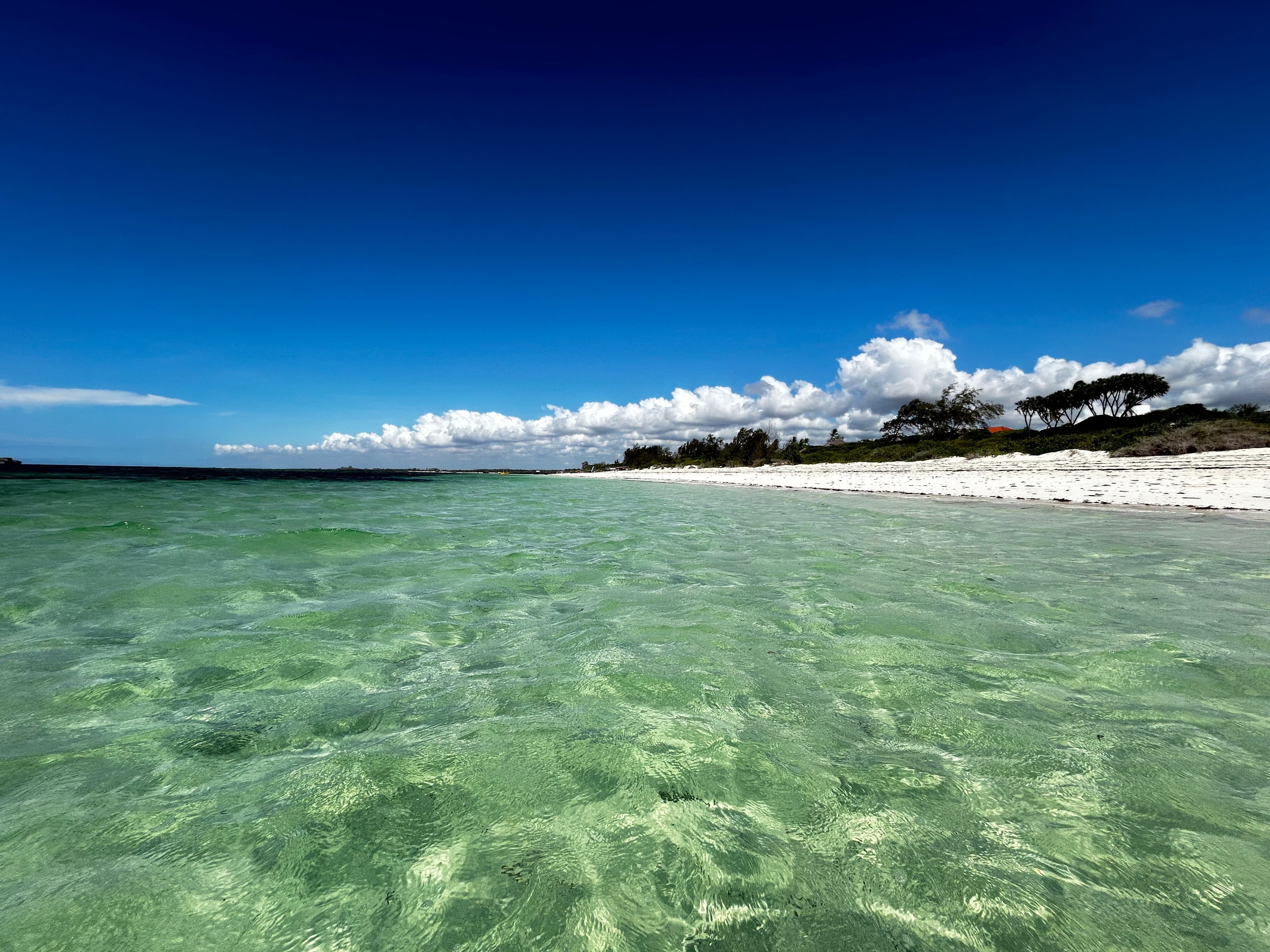 Wide view of Watamu Bay beach in Kenya as seen from a beachfront webcam