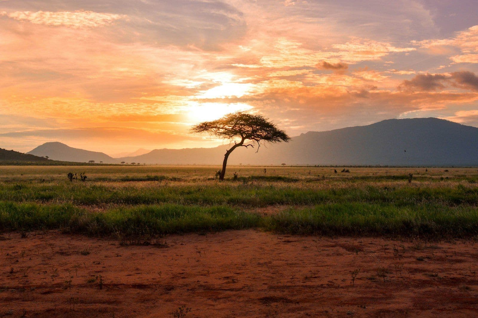 Kenya National Park Fees 2026: Every Park, Every Rate, From the Official Tariff
