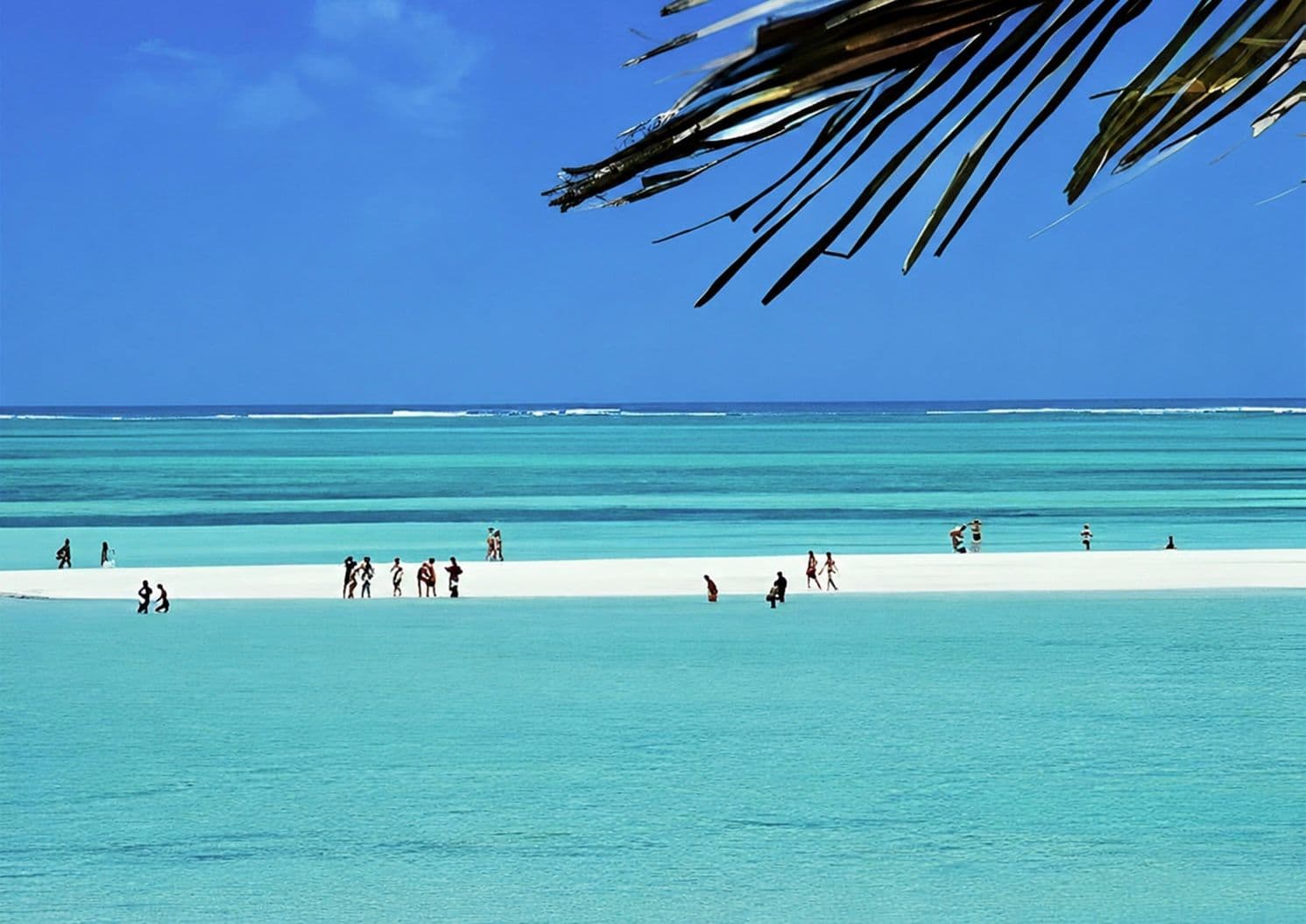 jacaranda beach watamu klickenya