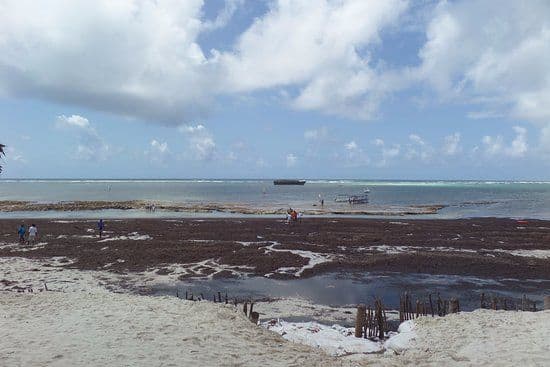Windy sea and seaweed on a Kenyan coast beach during the Kusi monsoon