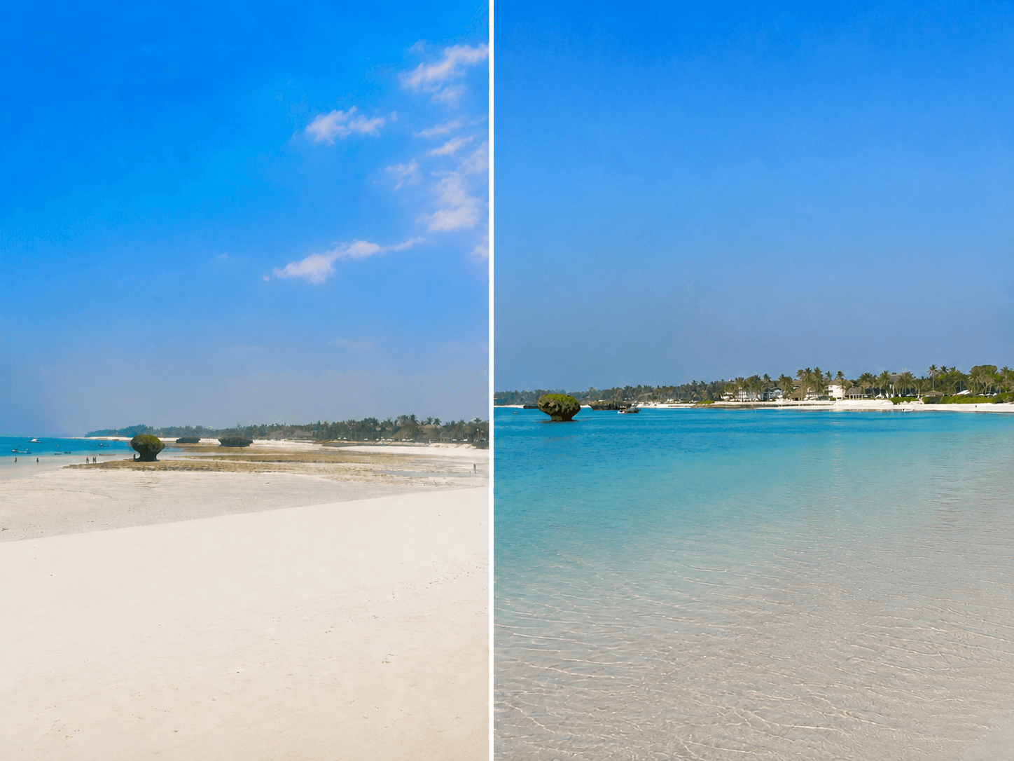 Tide Guide for Watamu and the Kenyan Coast: Why Timing the Ocean Matters