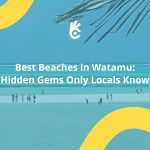 Aerial view of Jacaranda Bay sandbanks in Watamu, Kenya, showing turquoise water and white sand with people walking across at low tide.