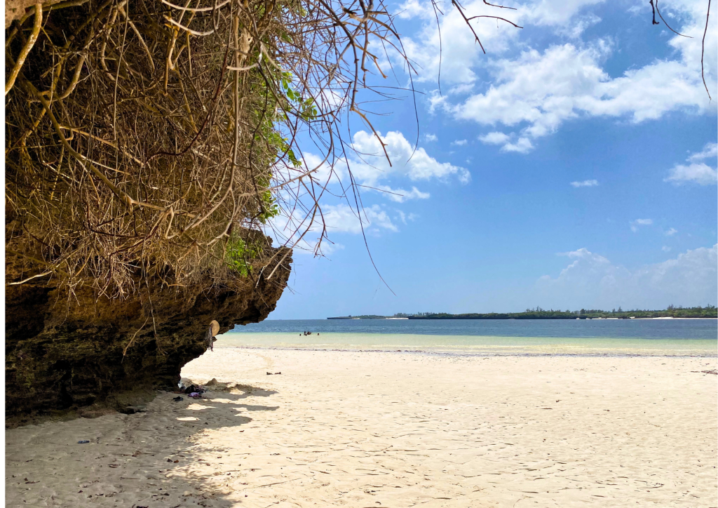 Short beach watamu